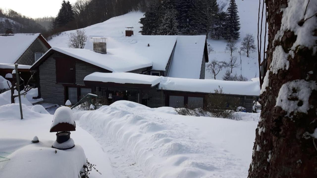 Haus Wiesenblick Walkenried Buitenkant foto