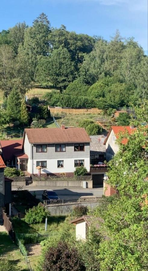 Haus Wiesenblick Walkenried Buitenkant foto